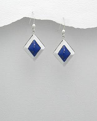 Silver Plated Earrings